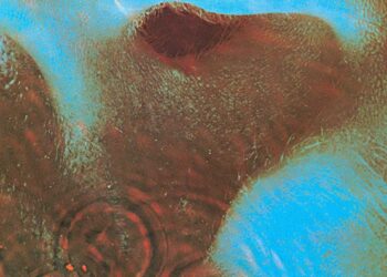 Meddle - Pink Floyd - 1971