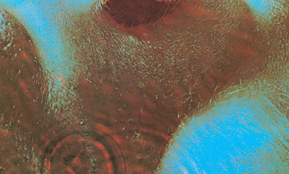 Meddle - Pink Floyd - 1971