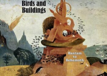 Bantam to Behemoth - Birds And Buildings - 2008