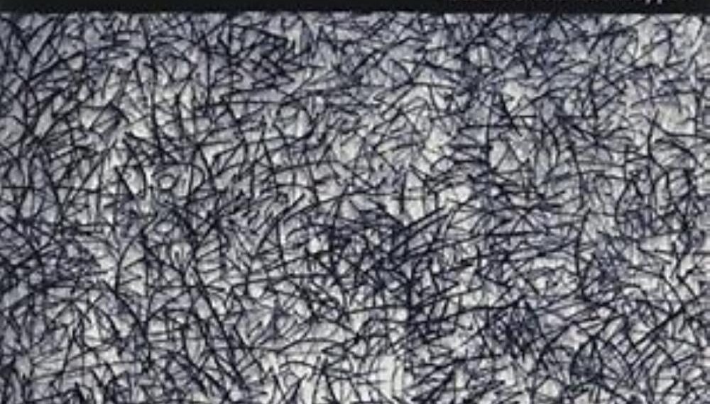 Barbaro (Ma Non Troppo) - Present - 2009